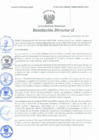 Vista preliminar de documento Resolución Directoral N° 00081-2021