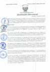 Vista preliminar de documento Resolución Directoral N° 00084-2021