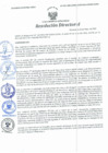 Vista preliminar de documento Resolución Directoral N° 00092-2021