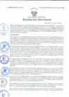 Vista preliminar de documento Resolución Directoral N° 00100-2021