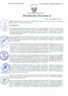 Vista preliminar de documento Resolución Directoral N° 00102-2021
