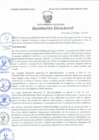 Vista preliminar de documento Resolución Directoral N° 00101-2021