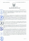 Vista preliminar de documento Resolución Directoral N° 00118-2021