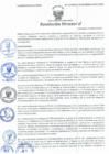 Vista preliminar de documento Resolución Directoral N° 00117-2021
