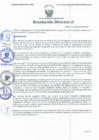 Vista preliminar de documento Resolución Directoral N° 00119-2021