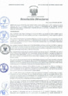 Vista preliminar de documento Resolución Directoral N° 00113-2021