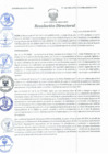 Vista preliminar de documento Resolución Directoral N° 00110-2021