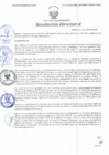 Vista preliminar de documento Resolución Directoral N° 00114-2021