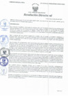 Vista preliminar de documento Resolución Directoral N° 00112-2021
