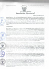 Vista preliminar de documento Resolución Directoral N° 00135-2021
