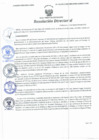 Vista preliminar de documento Resolución Directoral N° 00161-2021