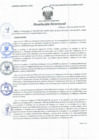 Vista preliminar de documento Resolución Directoral N° 00167-2021