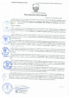 Vista preliminar de documento Resolución Directoral N° 00195-2021