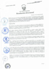 Vista preliminar de documento Resolución Directoral N° 00196-2021