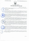 Vista preliminar de documento Resolución Directoral N° 00177-2021