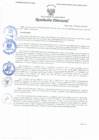 Vista preliminar de documento Resolución Directoral N° 00009-2022