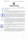 Vista preliminar de documento Resolución Directoral N° 00014-2022
