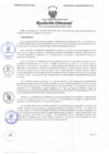 Vista preliminar de documento Resolución Directoral N° 00077-2022