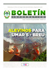 Vista preliminar de documento BOLETIN 20-07-2022