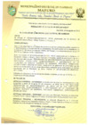 Vista preliminar de documento RESOLUCIÓN DE ALCALDÍA 273-2019-MDI/T