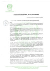 Vista preliminar de documento ROF_MDSRQ