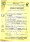 Vista preliminar de documento RESOLUCIÓN DE ALCALDÍA 324-2019-MDI/T