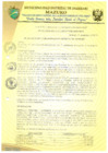 Vista preliminar de documento RESOLUCIÓN DE ALCALDÍA 323-2019-MDI/T