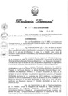 Vista preliminar de documento RD N° 307-2022.pdf