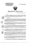 Vista preliminar de documento RD 132.PDF