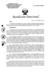 Vista preliminar de documento RD N°318-2020-DG-HEJCU MAPRO de Asesoria Jurídica.PDF