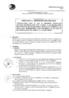 Vista preliminar de documento DIRECTIVA N° 14-2020.pdf
