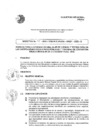Vista preliminar de documento DIRECTIVA N° 15 - 2020.pdf