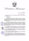Vista preliminar de documento RM.N° 246