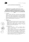 Vista preliminar de documento DIRECTIVA N° 3 - 2021.pdf