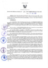 Vista preliminar de documento RES N°206-2022-GRDS