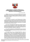 Vista preliminar de documento Resolución N° 226-2022-SUNARP-GG