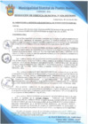 Vista preliminar de documento Resolución de Gerencia Municipal N° 0236-2022/MDPN