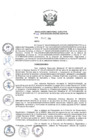 Vista preliminar de documento R.D.E-031-2019.pdf
