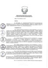 Vista preliminar de documento RDE-029-2021.pdf