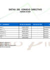 Vista preliminar de documento Dietas del Consejo Directivo 2020-02
