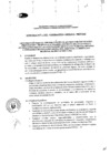 Vista preliminar de documento DIRECTIVA N° 9 - 2022.pdf