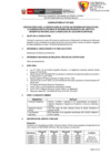 Vista preliminar de documento Convocatoria 037 SIG