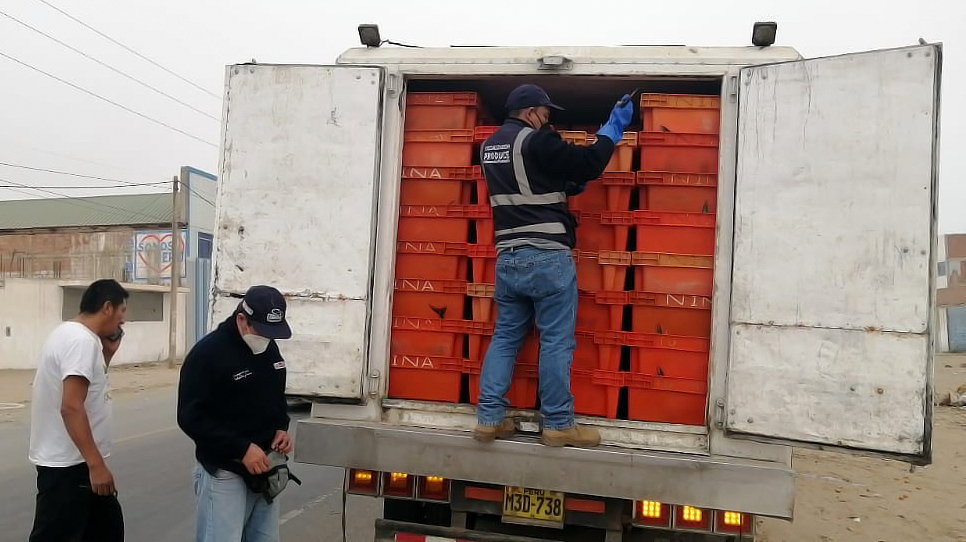 Imagen de decomiso del recurso bonito en Chiclayo