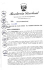 Vista preliminar de documento RD-294-2021