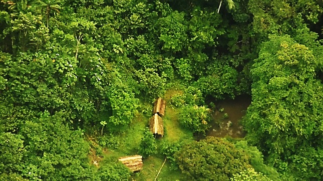 Estado reconoce existencia de pueblos indígenas en aislamiento en solicitud de creación de Reserva Indígena Napo, Tigre y afluentes