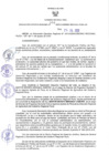 Vista preliminar de documento RER N° 394-2022