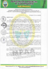 Vista preliminar de documento DECRETO DE ALCALDIA N°015-2022-MPAA-A.pdf