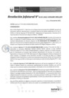 Vista preliminar de documento RES. 135-2022-SUNARP-ZRN°X-JEF