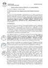 Vista preliminar de documento 0172-2022-MDSJL