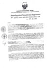 Vista preliminar de documento RDR N°0377-2022-25-07-22.pdf